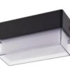 2W Solar Wall Light, Double Colour (STL-601D5-2W)